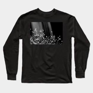 Waterfalls & Wildflowers Long Sleeve T-Shirt